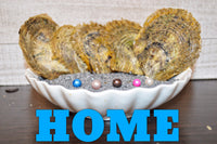 Oysters -Tray